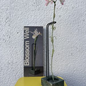 Soliflore Design Peter Hewitt