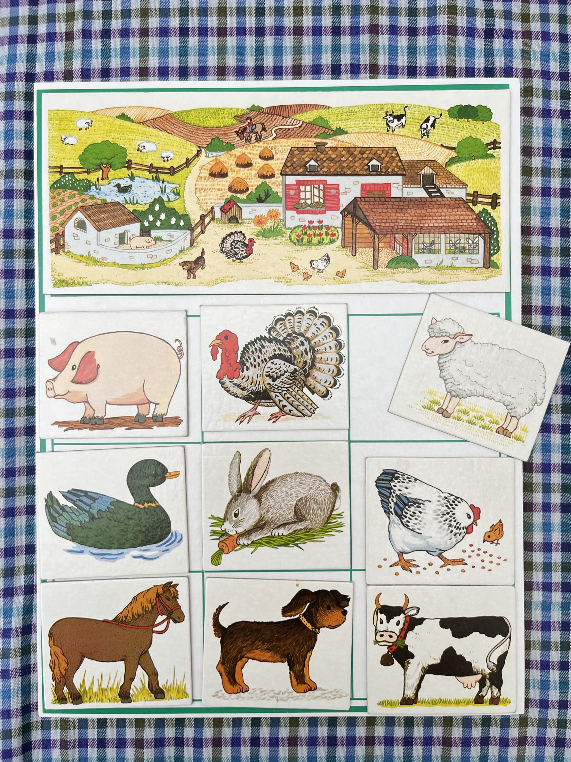 img_7613-3 img_7613-3