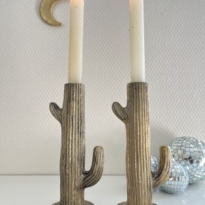 Bougeoir Cactus