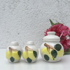 Set Sel Poivre Barbotine Citron