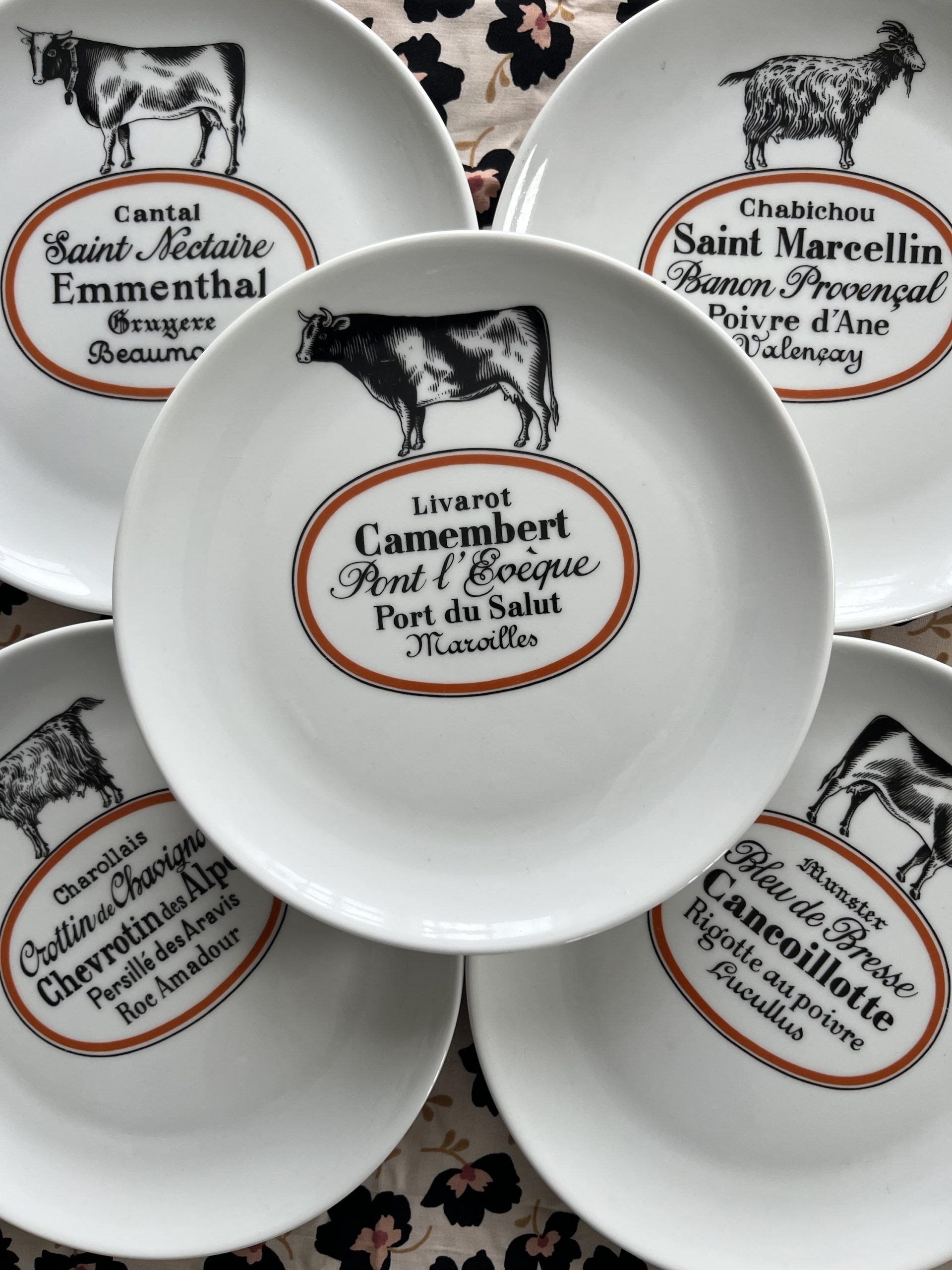 img_2528-3 img_2528-3