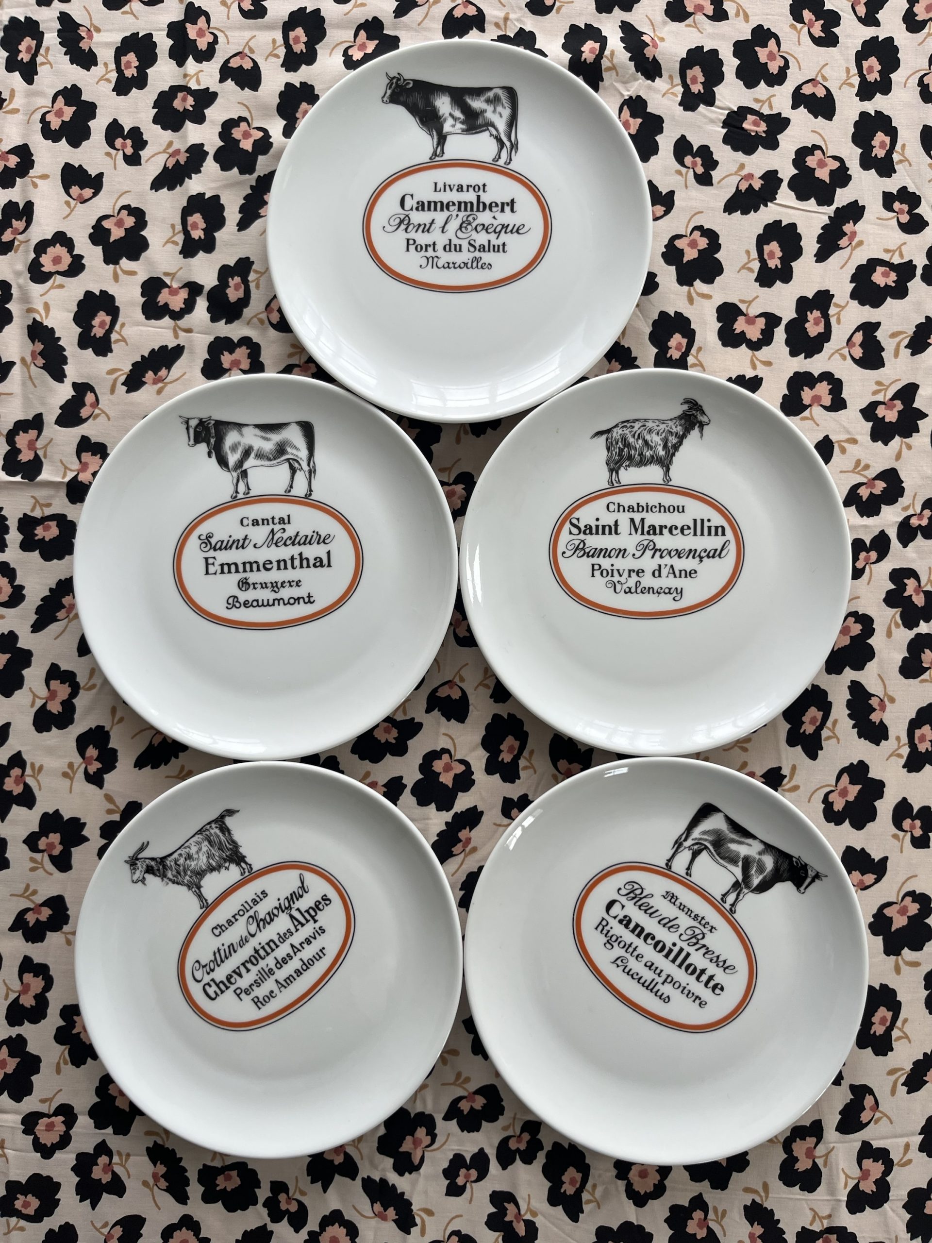 img_2529-3 img_2529-3