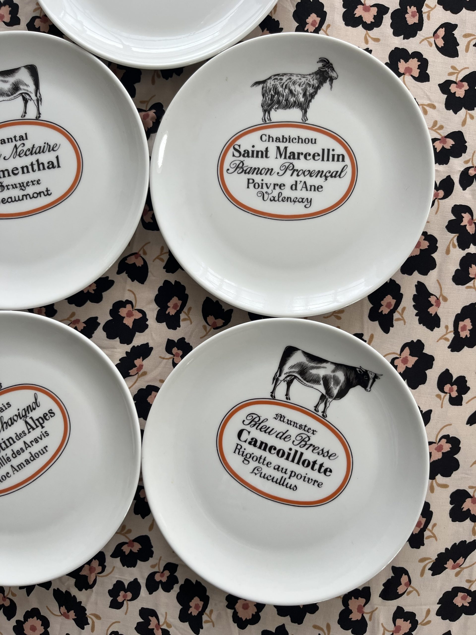 img_2533-2 img_2533-2