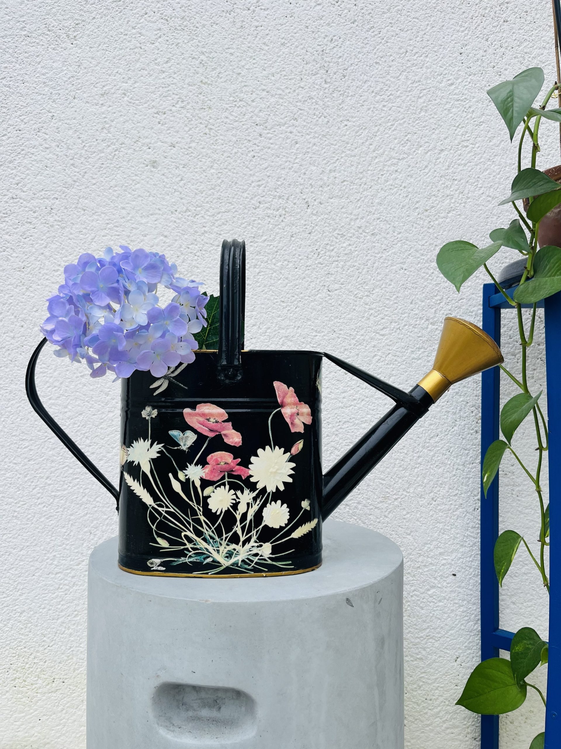 img_3285-2 img_3285-2