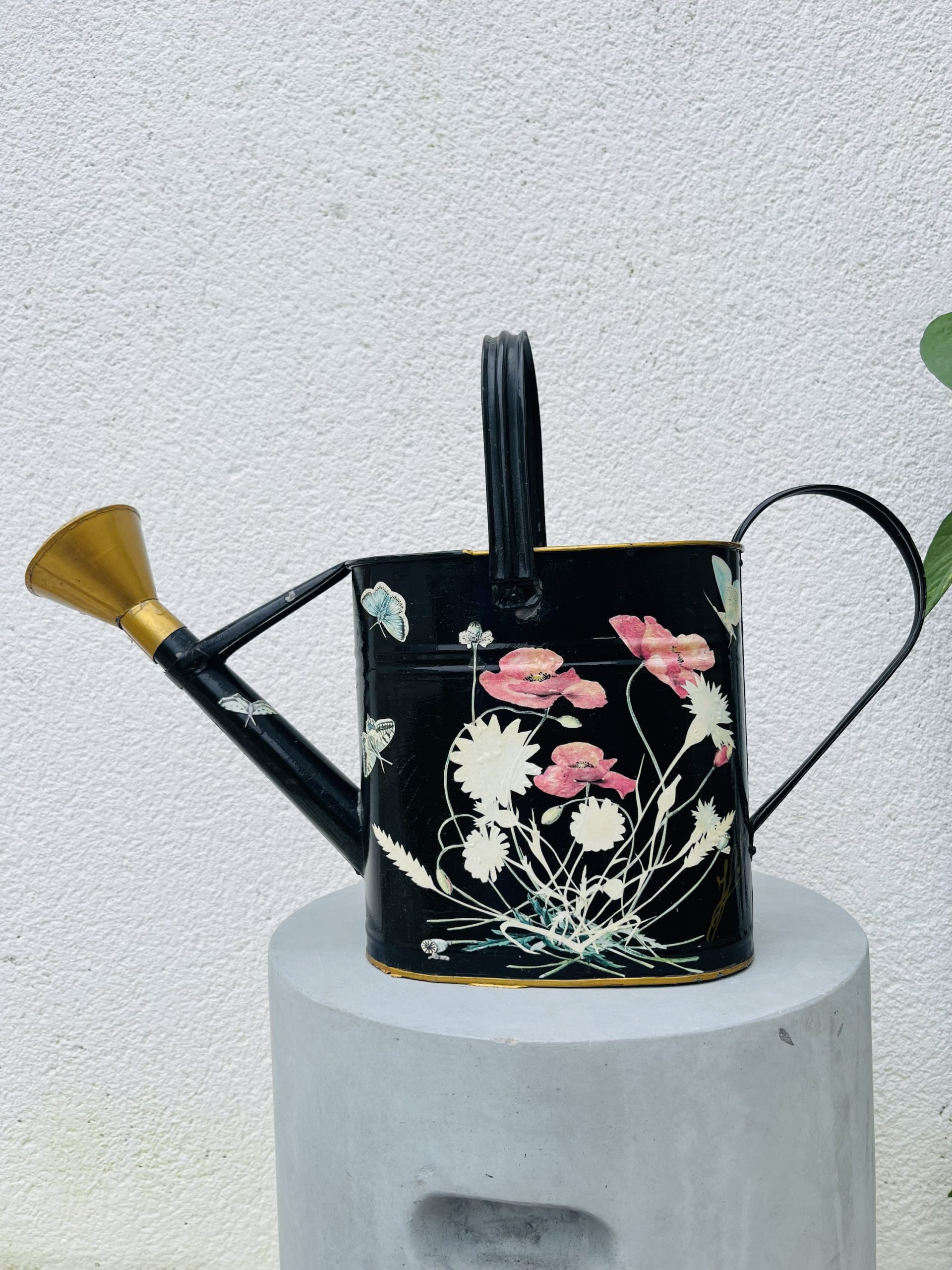 img_3288-2 img_3288-2