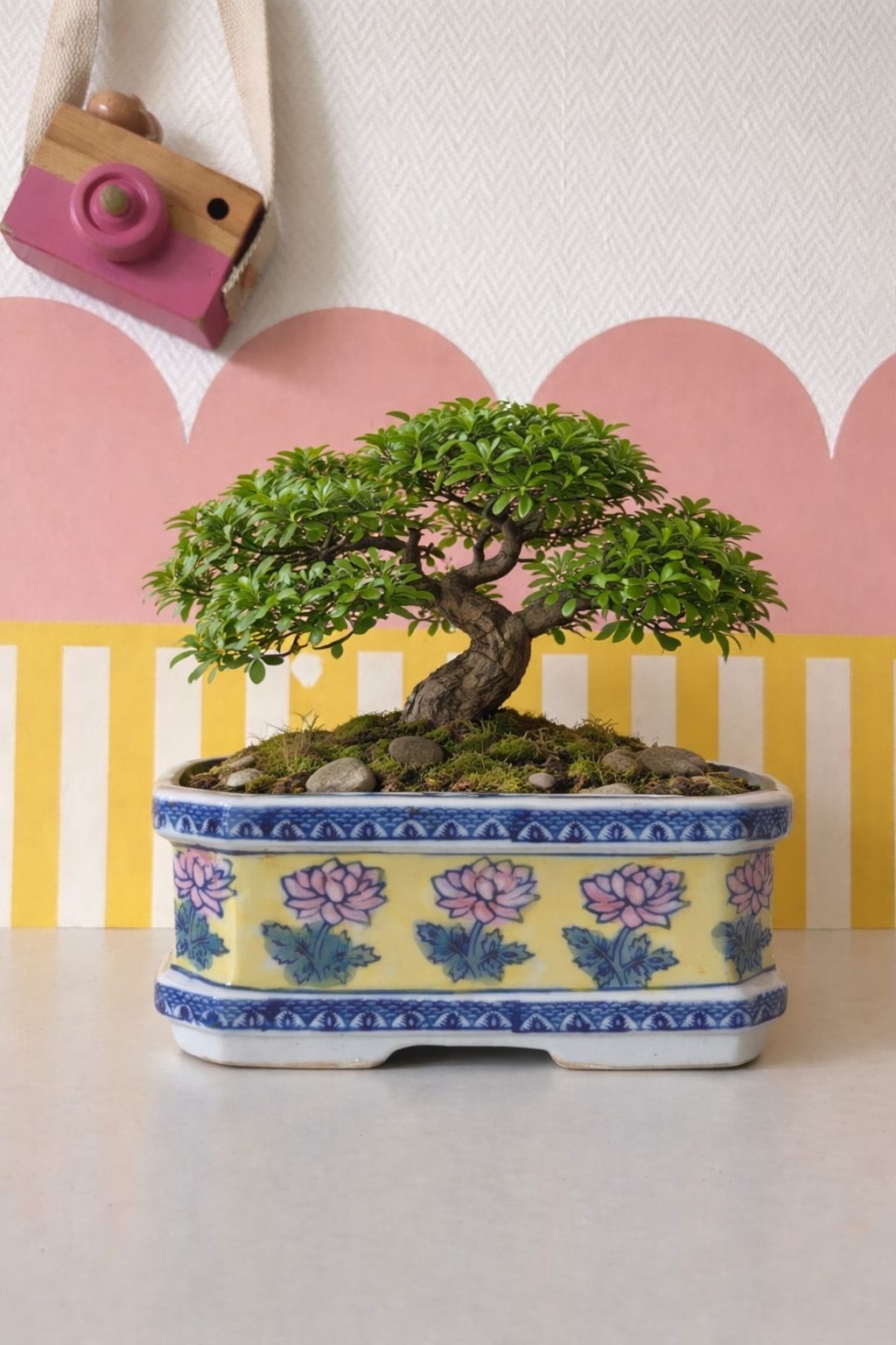 72aac15e-3a38-48b6-9c9a-4a1e69763a10 72aac15e-3a38-48b6-9c9a-4a1e69763a10