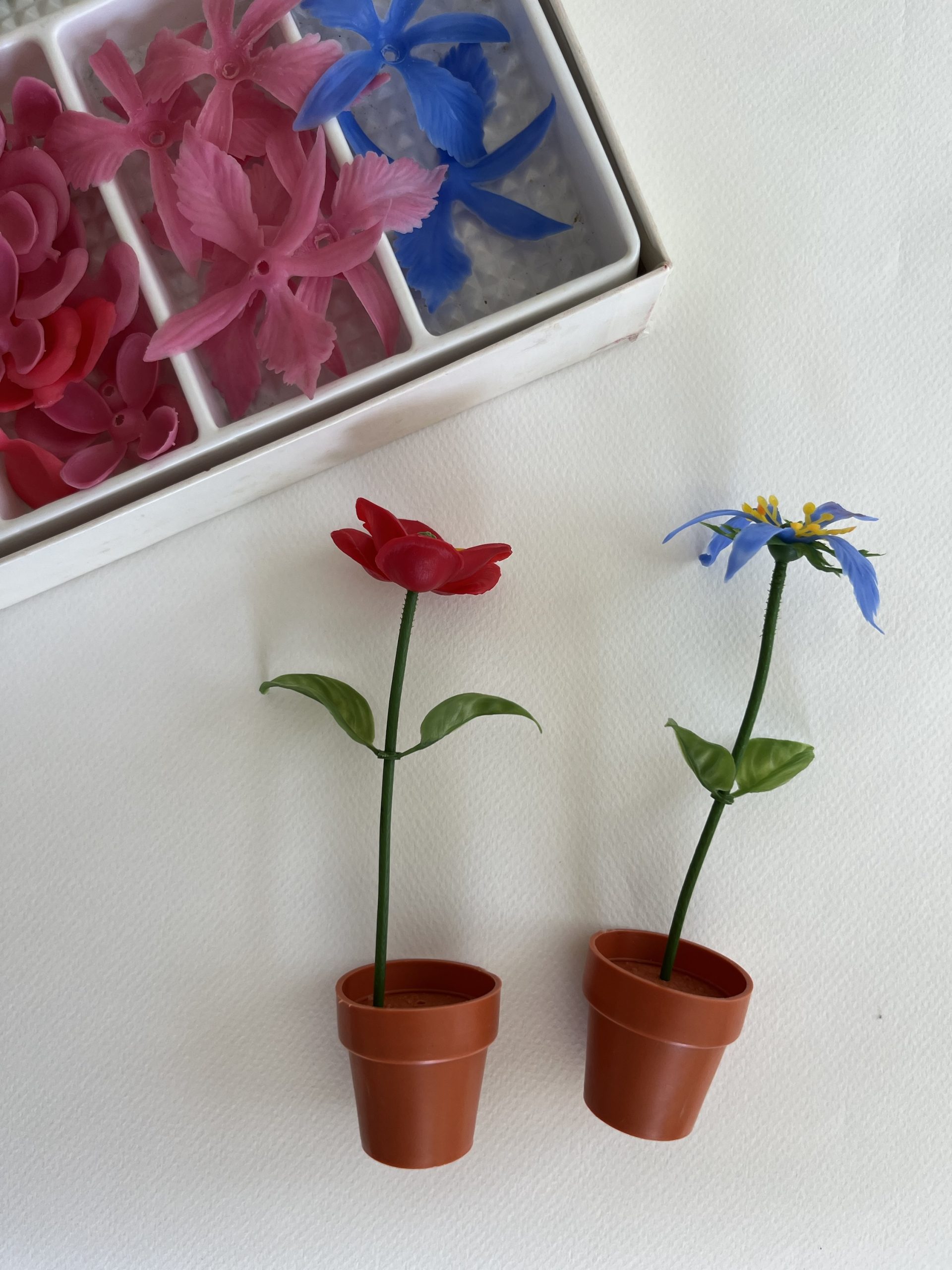 img_3930-2 img_3930-2