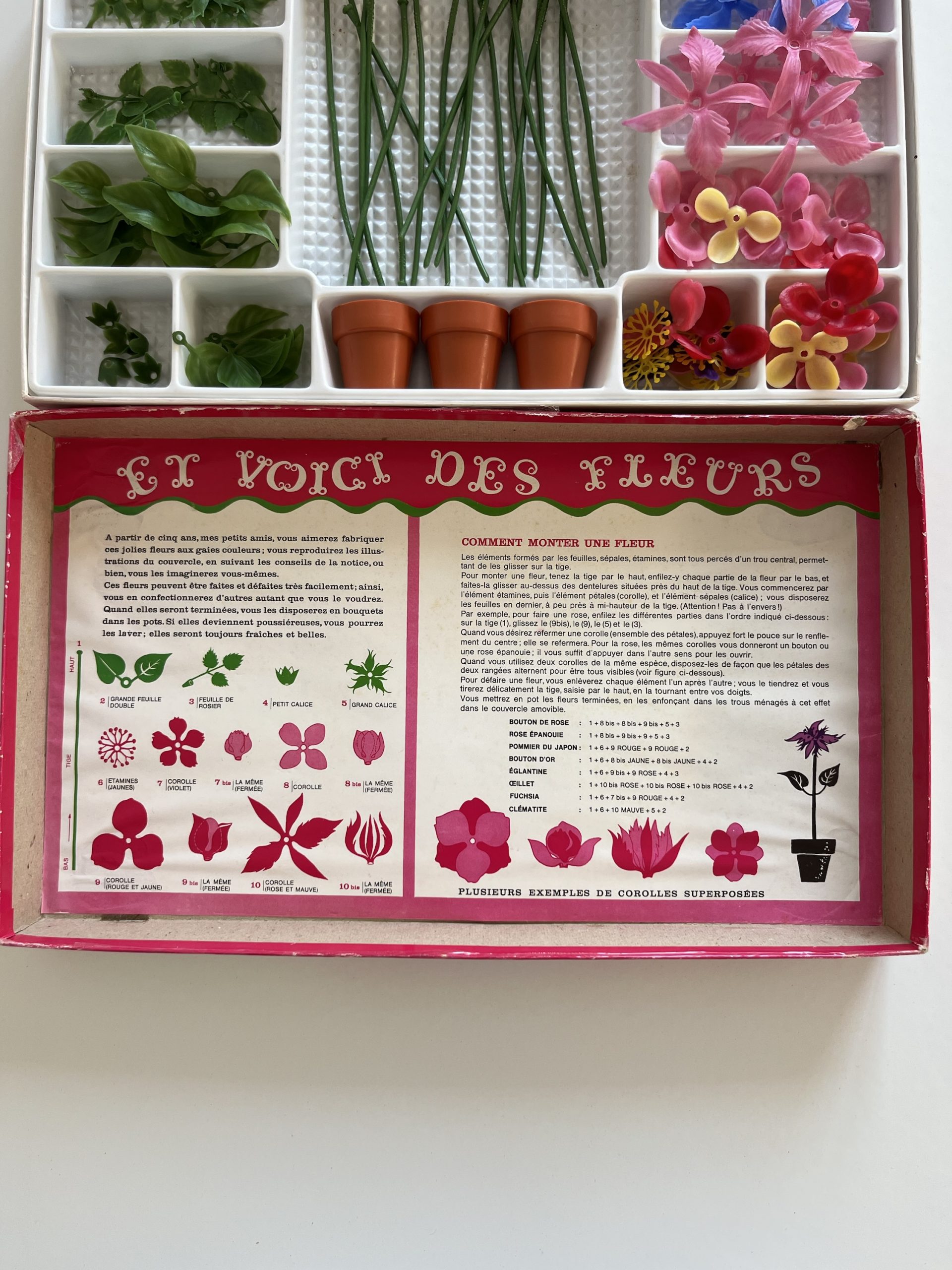 img_3986-2 img_3986-2