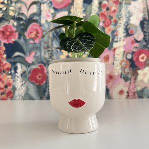 Cache-Pot Visage En Céramique Aimanté