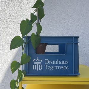 Casier à Bouteilles Bleu