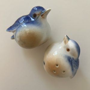 Ancien Duo Sel/Poivre en Porcelaine Oiseaux