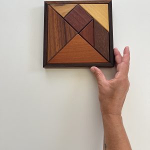 Tangram Vintage En Bois
